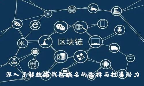 深入了解数字钱包域名的选择与投资潜力