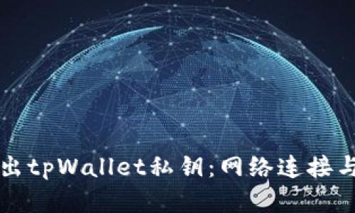 如何安全导出tpWallet私钥：网络连接与安全性分析