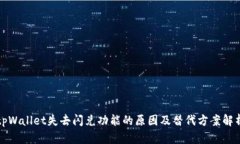 tpWallet失去闪兑功能的原因及替代方案解析