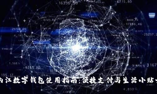 内江数字钱包使用指南：便捷支付与生活小贴士