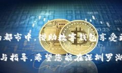    深圳罗湖数字钱包使用指南：从注册到支付全