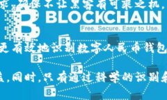   辨别数字人民币钱包真伪的实用指南：如何保护