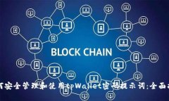 如何安全管理和使用tpWallet密码提示词：全面指南