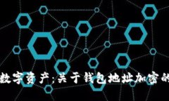 保护你的数字资产：关于钱包地址加密的全面指
