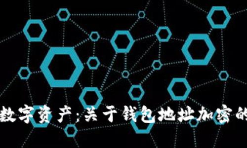 保护你的数字资产：关于钱包地址加密的全面指南