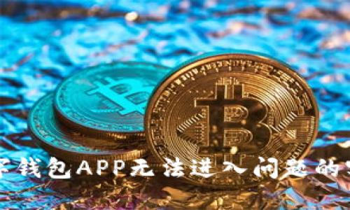解决数字钱包APP无法进入问题的实用指南