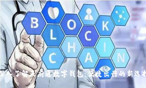 深入了解天府通数字钱包：便捷出行的新选择