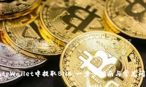 如何在tpWallet中提取BNB：一步步指南与常见问题解答