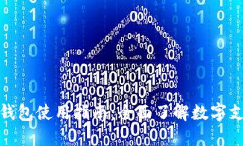 北京数字钱包使用指南：全面了解数字支付新体验