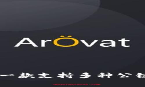 了解 tpWallet：一款支持多种公链的数字货币钱包