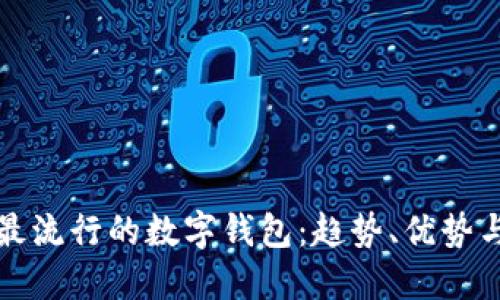 探索中国最流行的数字钱包：趋势、优势与未来展望