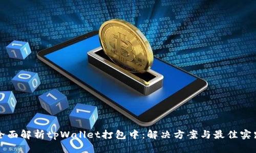 全面解析tpWallet打包中：解决方案与最佳实践