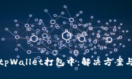 全面解析tpWallet打包中：解决方案与最佳实践