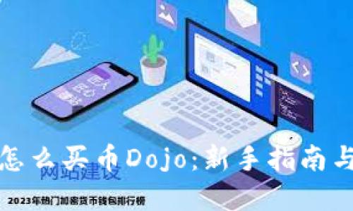 tpWallet怎么买币Dojo：新手指南与详细步骤
