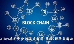 :tpWallet丢失资金的深度解析：原因、预防与解决