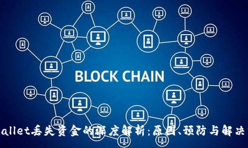 :
tpWallet丢失资金的深度解析：原因、预防与解决方案