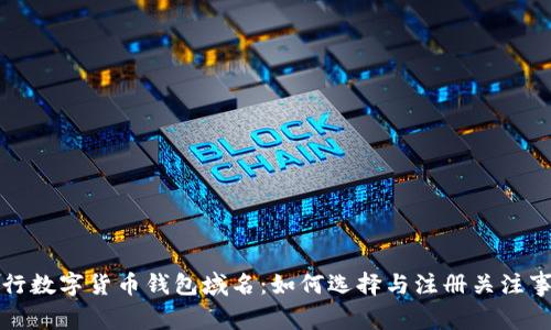 央行数字货币钱包域名：如何选择与注册关注事项