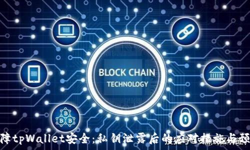   
如何保障tpWallet安全：私钥泄露后的应对措施与预防措施