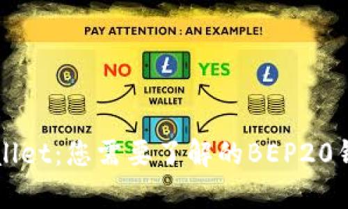 全面解析tpWallet：您需要了解的BEP20钱包功能与使用