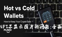 解决tpWallet NFT不显示图片的问题：全面解析与解