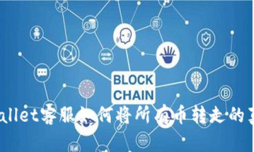 深入探索：tpWallet客服如何将所有币转走的真相与应对策略