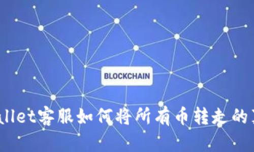 深入探索：tpWallet客服如何将所有币转走的真相与应对策略