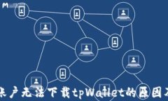详解海外账户无法下载tpWallet的原因及解决方案