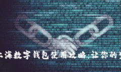 深入解析上海数字钱包使用攻略：让你的生活更