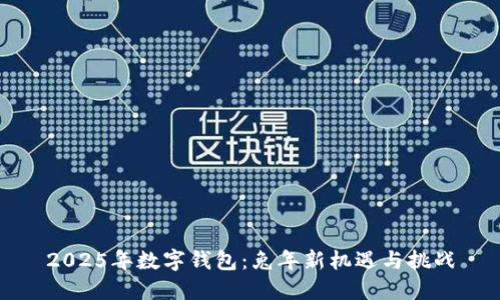 2025年数字钱包：兔年新机遇与挑战