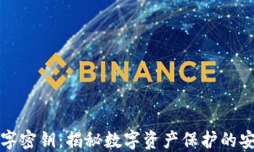 
钱包数字密钥：揭秘数字资产保护的安全防线