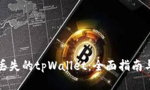 如何找回丢失的tpWallet：全面指南与解决方案