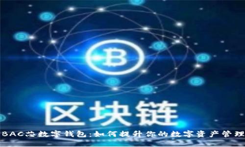 深入探讨BAC芯数字钱包：如何提升你的数字资产管理与安全性