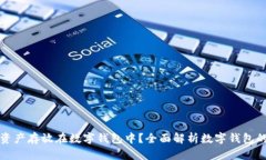 为什么将数字资产存放在数字钱包中？全面解析