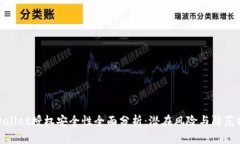 tpWallet授权安全性全面分析：潜在风险与防范措施
