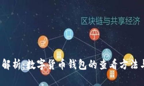  全面解析：数字货币钱包的查看方法与技巧