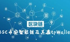 全面解析BSC币安智能链及其在tpWallet中的应用