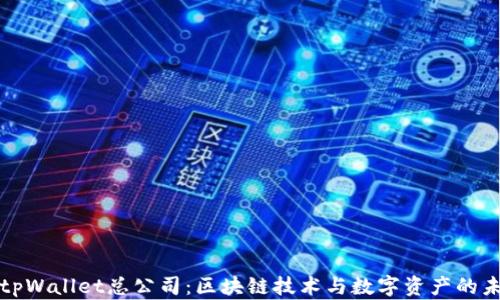 
新加坡tpWallet总公司：区块链技术与数字资产的未来之路