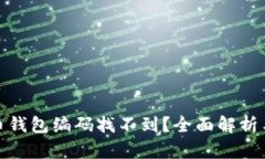 数字人民币钱包编码找不到？全面解析与解决方