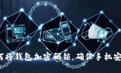 如何将钱包加密码锁，确保手机安全？