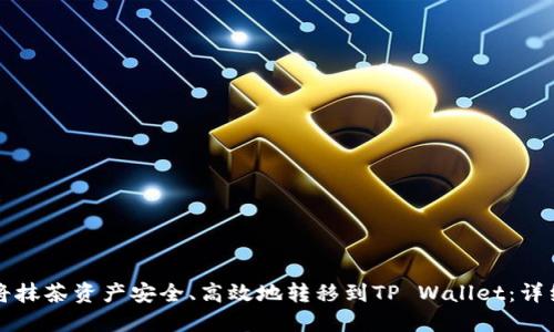 如何将抹茶资产安全、高效地转移到TP Wallet：详细指南