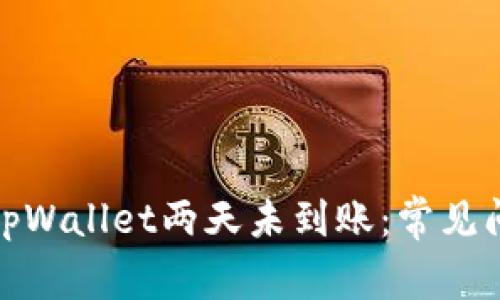: 抹茶提币到tpWallet两天未到账：常见问题及解决方案