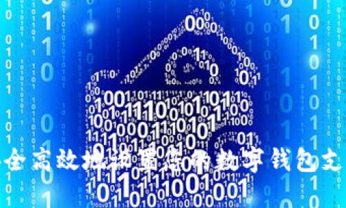 如何安全高效地设置您的数字钱包支付密码