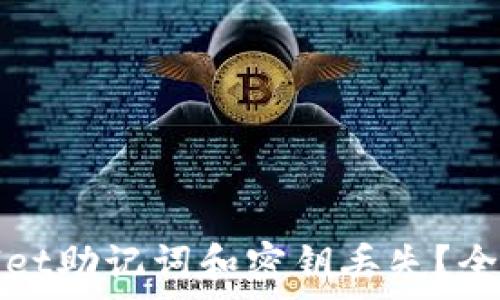 
如何应对tpWallet助记词和密钥丢失？全面解析找回方案