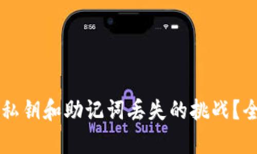 如何应对tpWallet私钥和助记词丢失的挑战？全面解析与解决方案