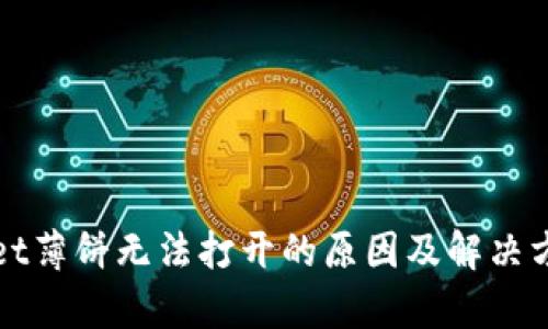 tpWallet薄饼无法打开的原因及解决方案解析