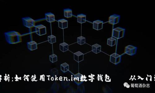 详尽解析：如何使用Token.im数字钱包——从入门到精通