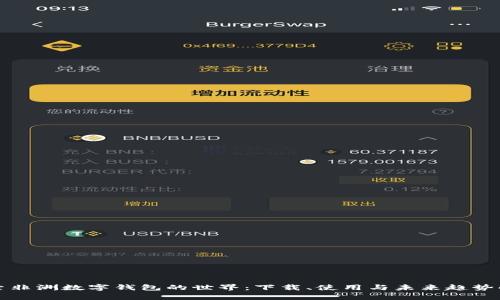 探索非洲数字钱包的世界：下载、使用与未来趋势解析