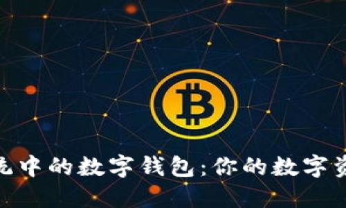 NFT生态系统中的数字钱包：你的数字资产管理助手