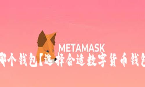 数字货币放哪个钱包？选择合适数字货币钱包的全面指南