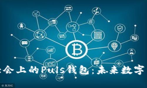 探索WBF区块链大会上的Puls钱包：未来数字资产管理的新标准